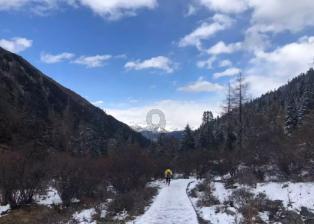 幻想纹章3.5